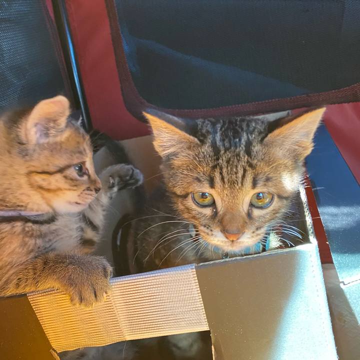 B198ad39 5194 4943 a39d e6e9dff30e10 1638075716930