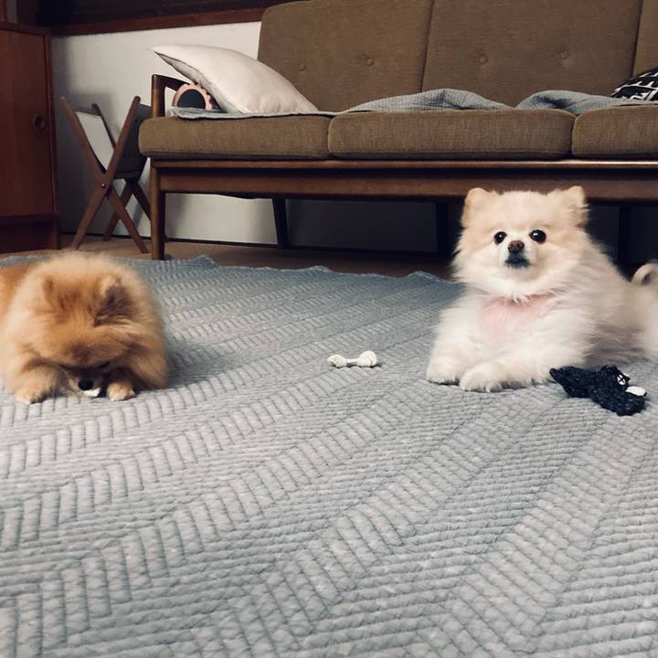 B198be04 a554 406b bb4d 9a4938e29572 1700822354055