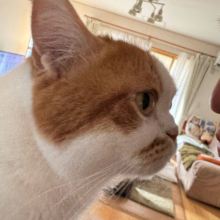 B198d66d 35d6 4724 81c9 8c9b8ac36c1d 1772158634924