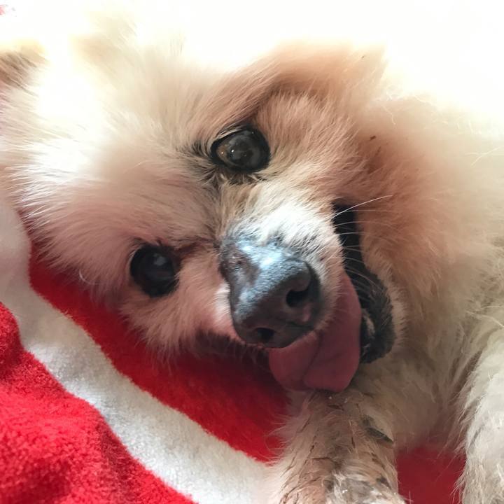 B198e643 099a 4f77 a946 33f2300c3f0f 1526799583282