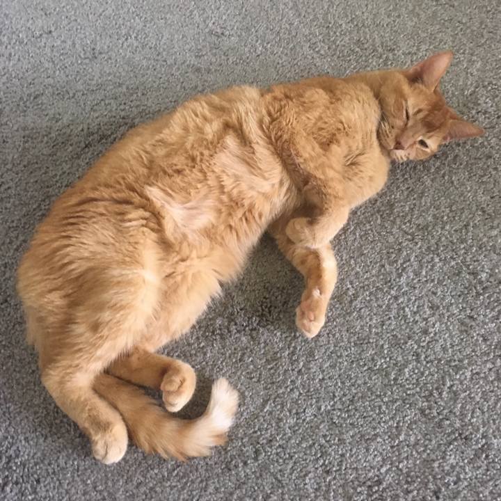 B198ef4d 2f3b 4c85 a807 2d9ddf8b13f0 1656030304221