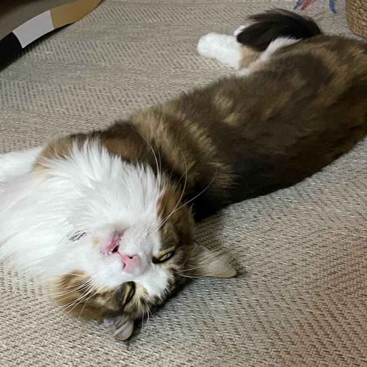 B198f26f 81b1 48a6 a666 7f08f8b94fce 1663446307293