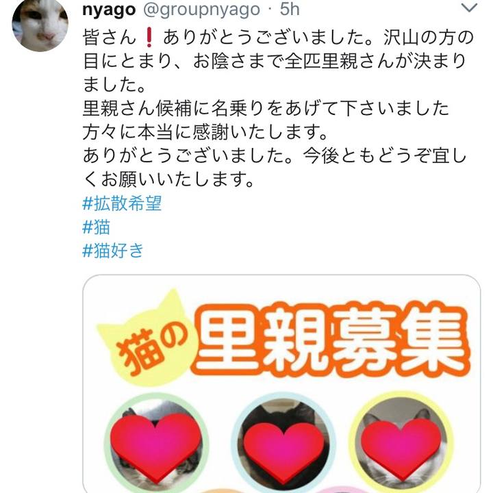 B198f538 8e17 42c3 8dee 611f13212e65 1537140214610