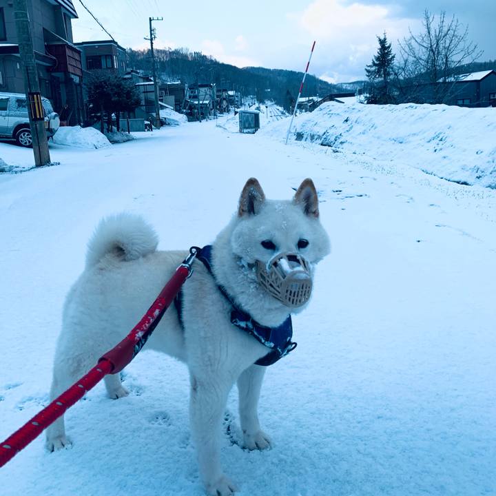 B19919b5 e14a 4462 aab0 0f82168fcecd 1648761341410