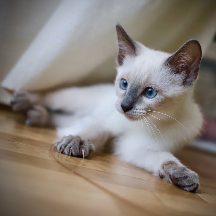 B1992309 7e3c 4501 9a3b 8eb8575bf965 1572279883051