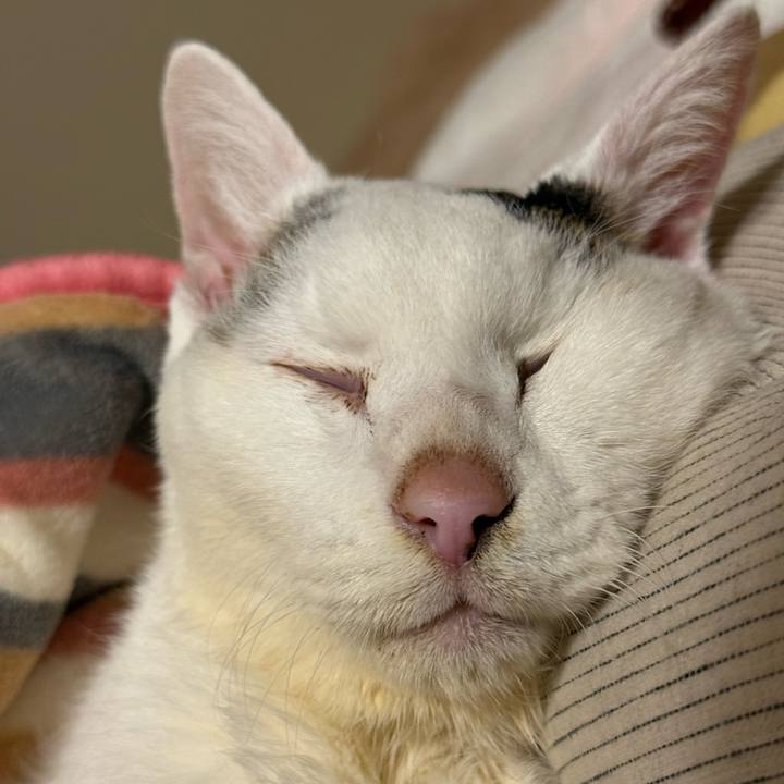 B1992caa 645e 4b95 8f1e b2f069fdb3fb 1768307820393