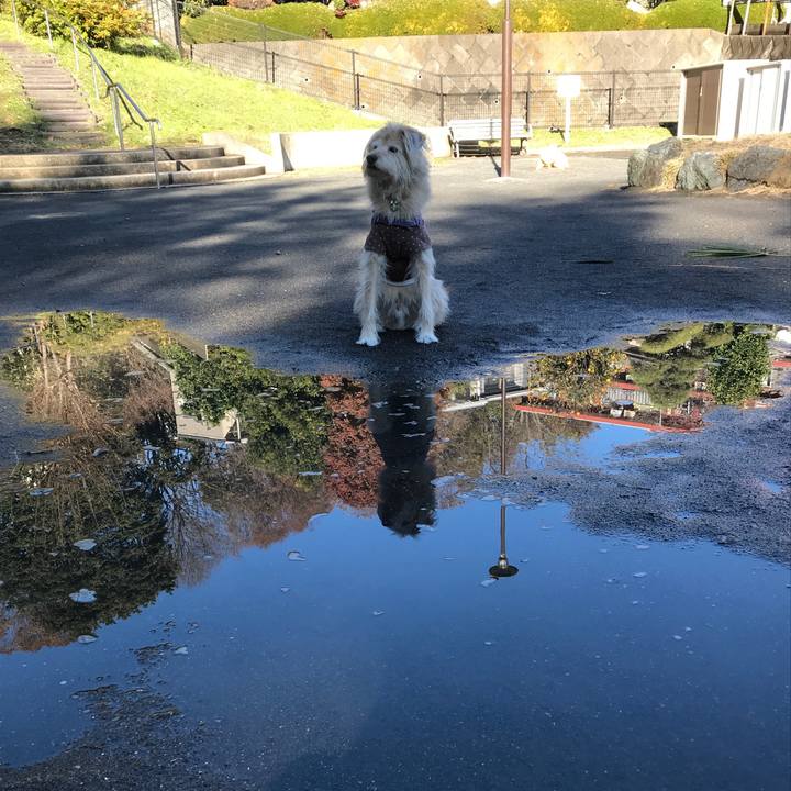 B1994b38 a8d0 4269 8b21 946f60e33020 1545041374701