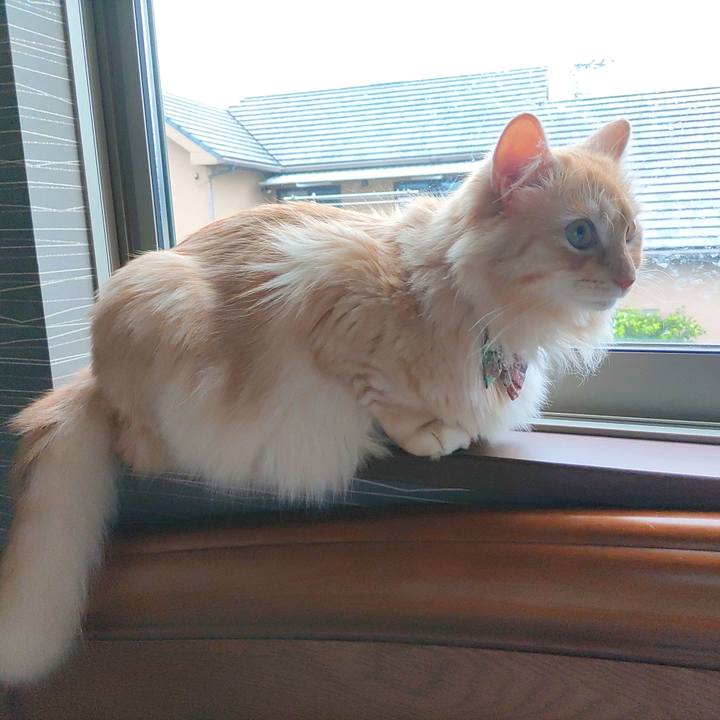 B1994c26 17f8 44ca ab05 a83639caed9c 1659662148439