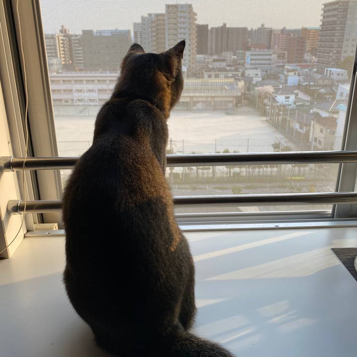 B1998c7a 2f72 48fa ad81 88d52ae673c9 1585932291341