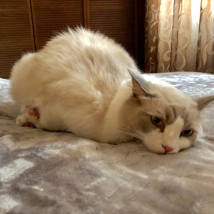 B1998c8e 6ccf 4887 8714 987c5b8f1d49 1570496421353