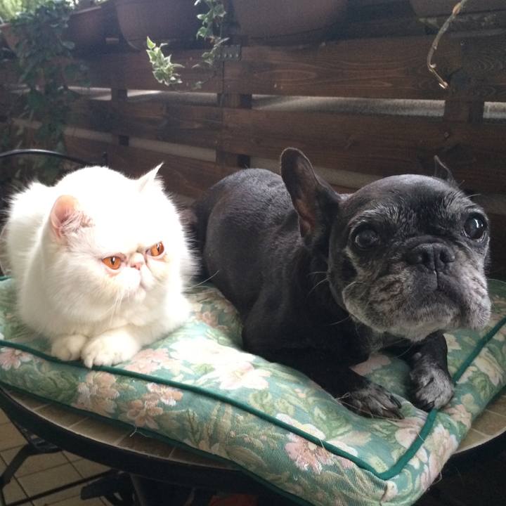 B199aa35 ca1c 4145 8b53 65c75a3eb68d 1611289699003