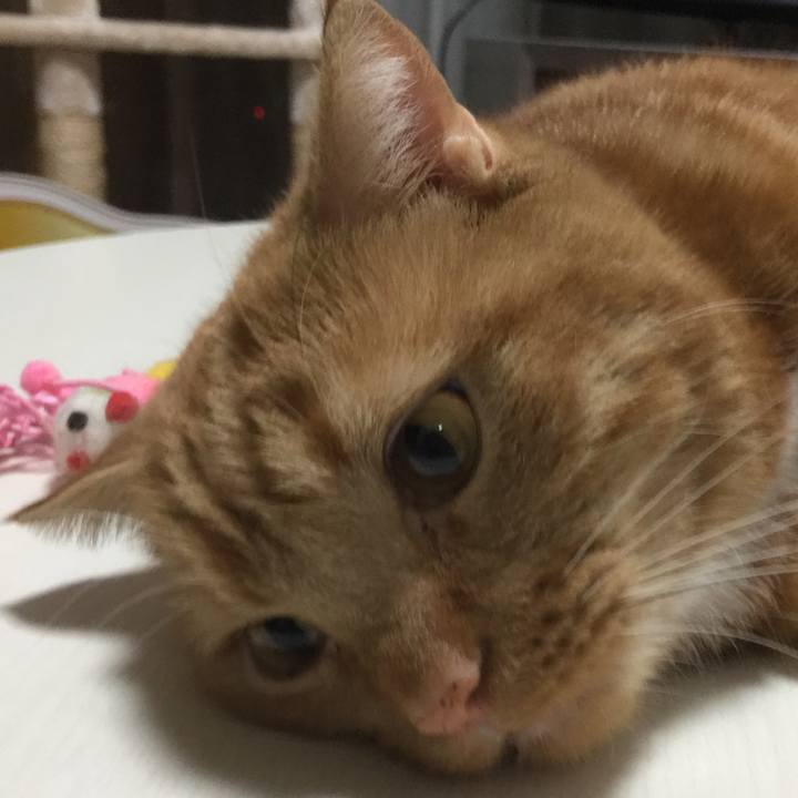 B199d687 7667 4f05 b8db e85e1840f16d 1563027556015