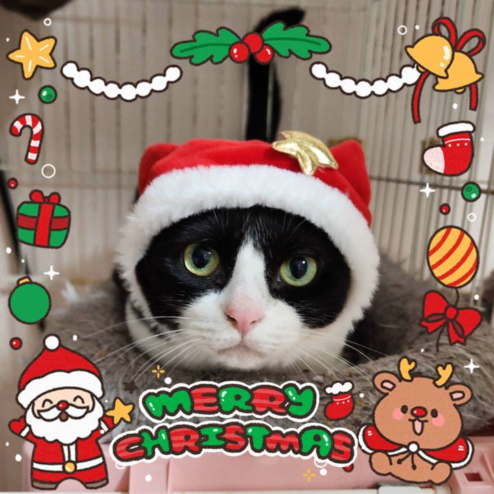 B199dbeb 0ace 44b1 a0e9 a5db7141e9d6 1766670409100