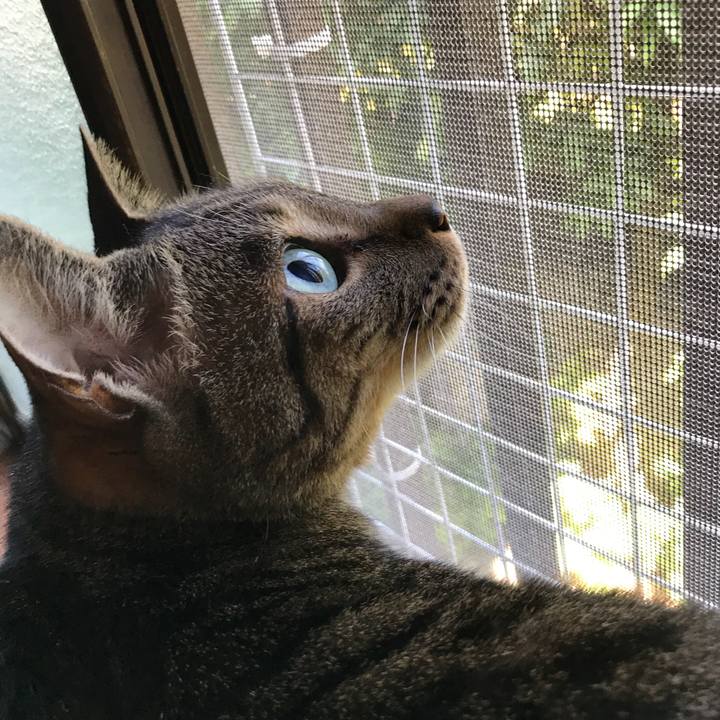 B199ef7e 7fb7 4540 8555 c5c107f6c858 1531097420646