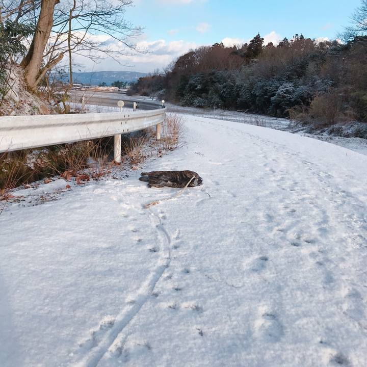 B199f278 9924 42bb 9b7b 3bb3606c478a 1519172827904