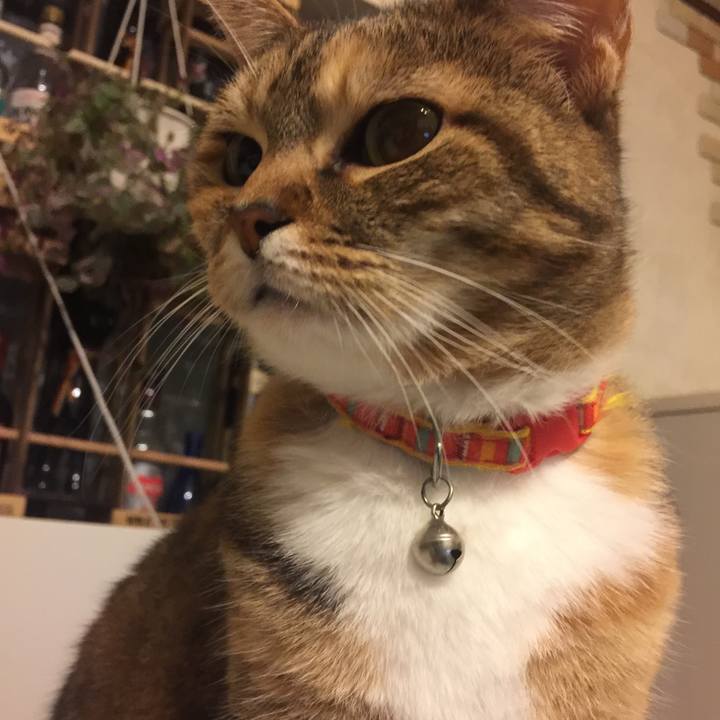 B19a0e2c 5371 4dfe bd4c 13c8c74b5c99 1549639555798