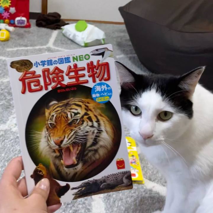 B19a3148 7aa4 4477 a576 f6ec48de150c 1615976775545