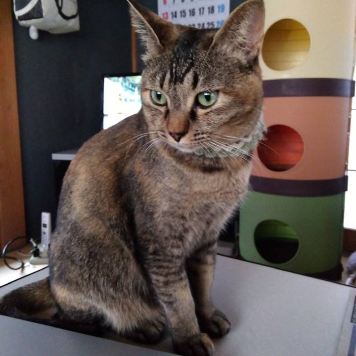 B19a4f4a 0286 467b 8156 9c95617f37b1 1646867985954