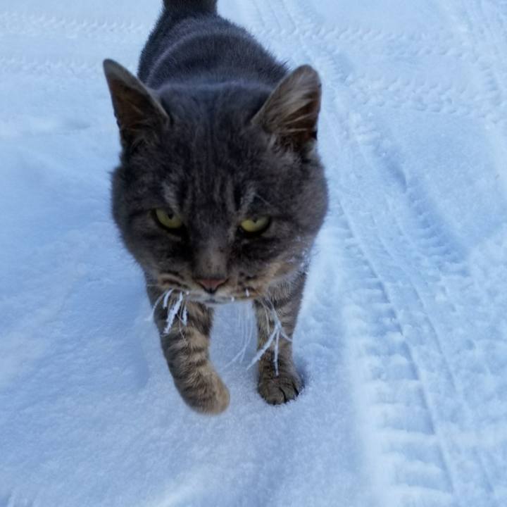 B19a5452 b817 4a5f aecb 23466bef4bc8 1515830464235