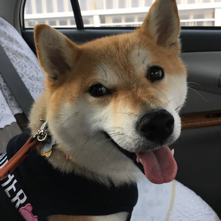 B19a5ca3 6340 473b bbd4 024d06120a1b 1560761607030