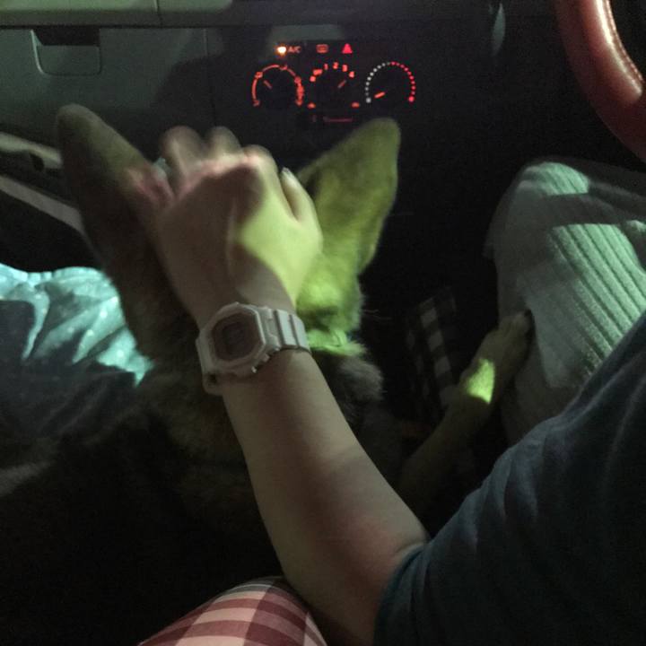 B19a629e ecee 4227 8682 d91a4f5d5343 1530535691728