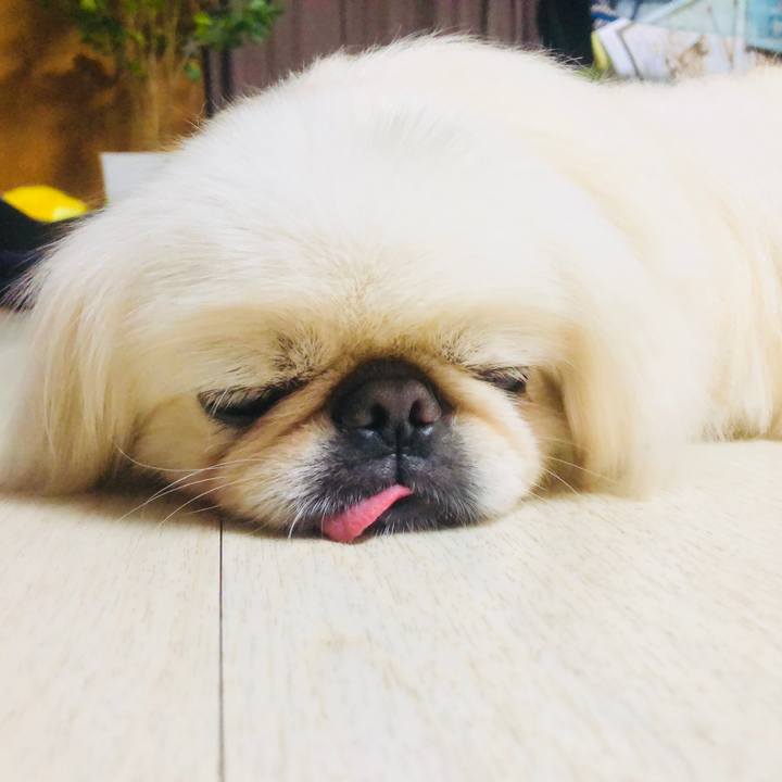 B19a700f e414 48f4 b35c 1ecffa659820 1600267592291