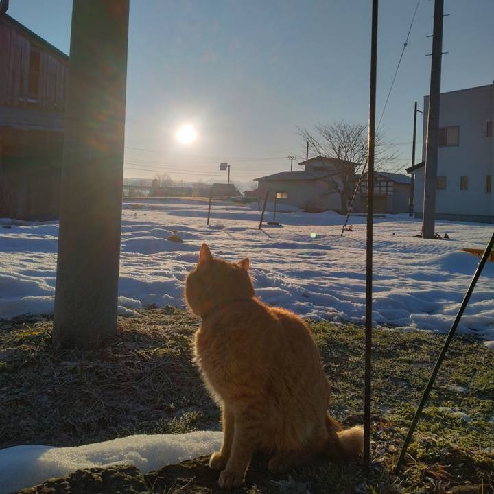 B19aa2a1 5144 4092 a0ca 12eb6e2f578e 1707778646854