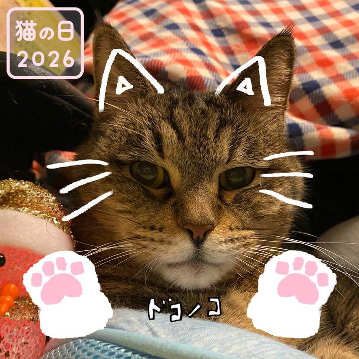 B19af371 2f0b 4f86 aa5d e29086167027 1771747465477