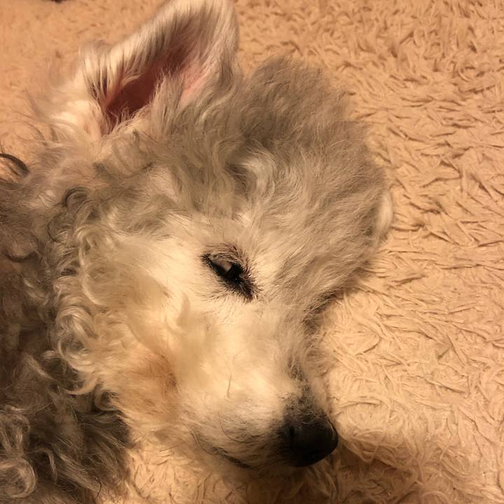 B19b3186 963a 467d ba78 3f1206da3c5c 1583020371091