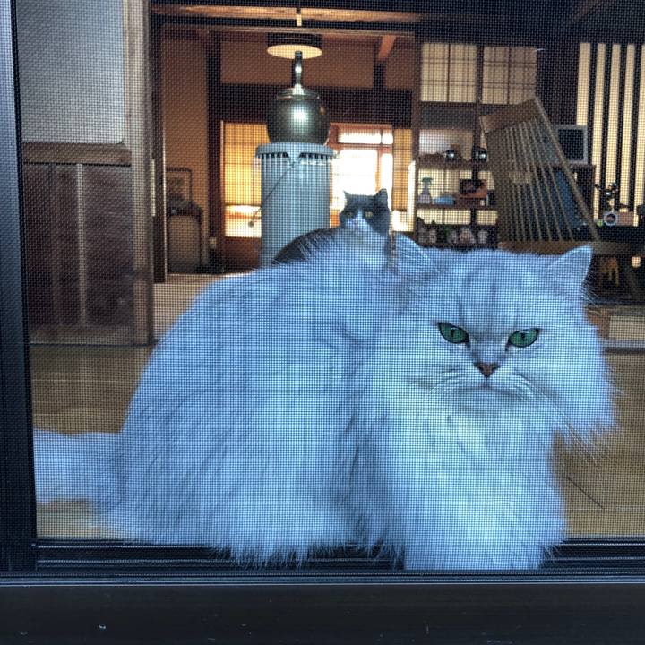 B19b5cba 5bbc 43ca 93c8 59c2b9366db6 1574507382155