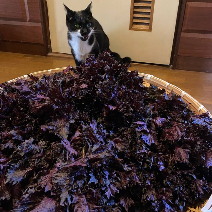 B19b67ee 08c4 4a33 bcb6 f80e901e77fe 1654914697650