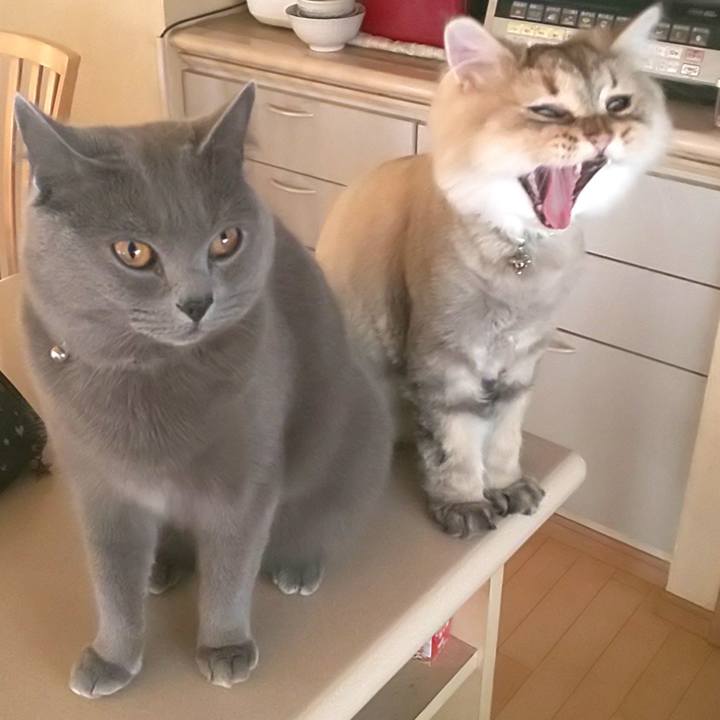 B19b6954 43e0 4ad7 a8b9 a02f385a74b4 1596517684699