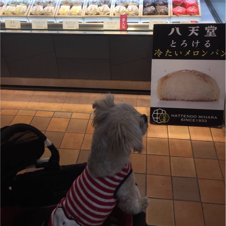 B19b9cf6 dcfd 43d8 8e6b 6a571b614d26 1521284623020