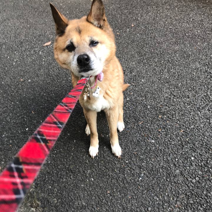 B19bb4b0 a9c5 4030 9ac9 96f82e1779c0 1518390851146