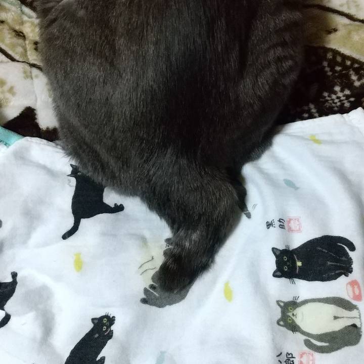 B19bbab9 e1ed 438a b17f 0ed49784ba6f 1610968140064