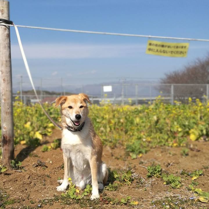 B19bc057 fac0 4e8c ab80 d9854aeb65b1 1518668410603