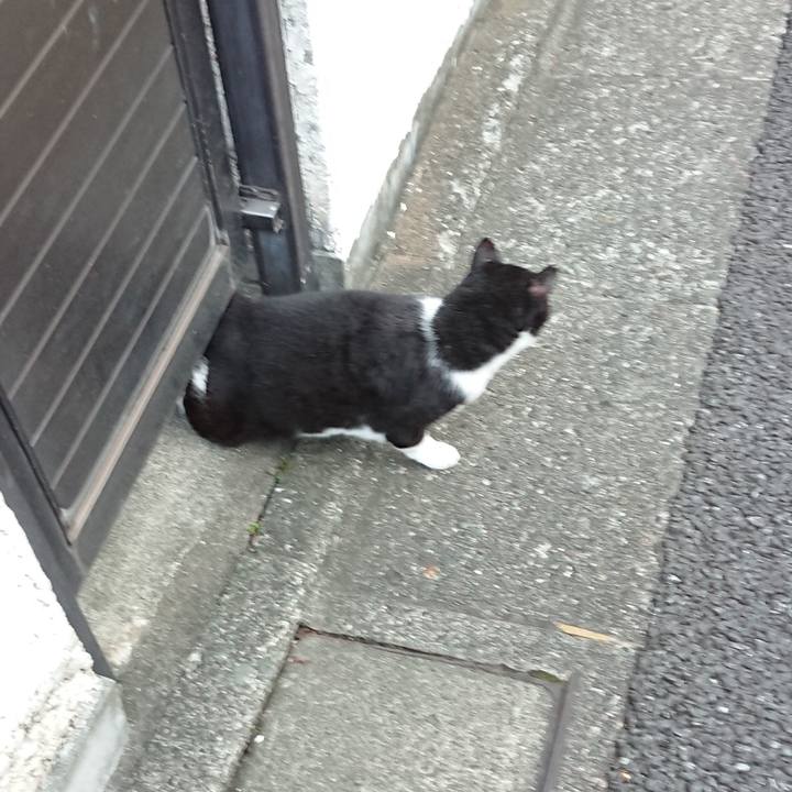 B19bd125 d4f3 43c5 8cfc e3a606f67370 1664531491177