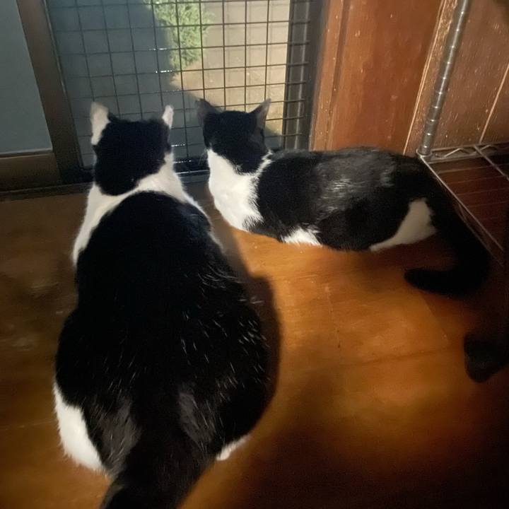 B19beab9 c5bd 4c2b bf45 f59b8711c778 1693475906926