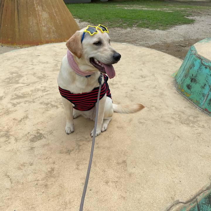 B19bf8d1 e7d1 4f1c b87f 0df30bd2888b 1631049321550