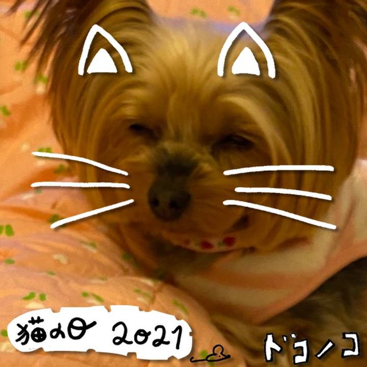 B19bfd69 f332 4be6 86c2 fb122fcb01d0 1613979666644