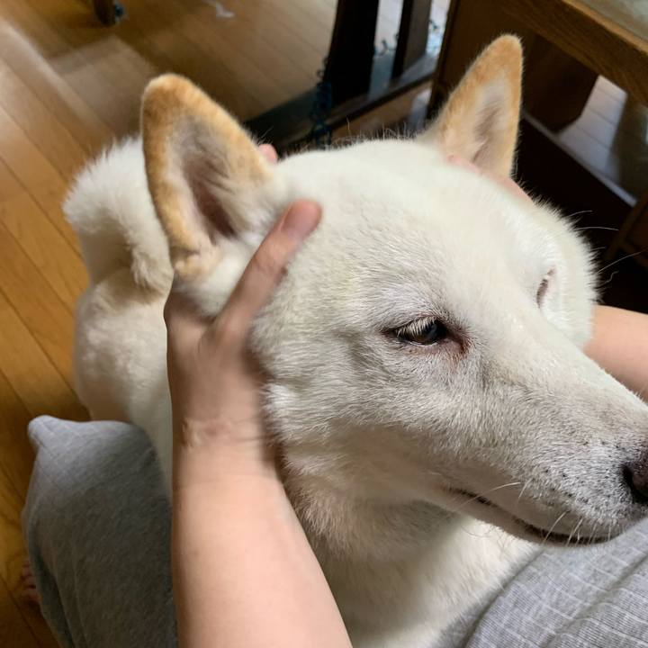 B19c2fed ab07 4b20 b208 9a04bd259f37 1598653636361