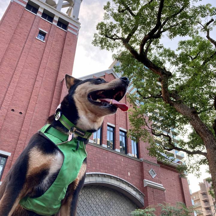 B19c66e2 4ce8 4f18 a539 8d940e8fe62c 1598763726102