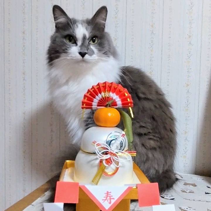 B19ca761 27fd 4124 9493 033540e90d03 1704079459054