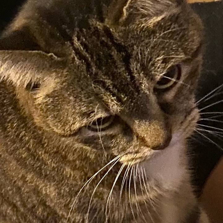 B19cb476 3992 4da8 86a2 247bbfa5f79c 1731664803901