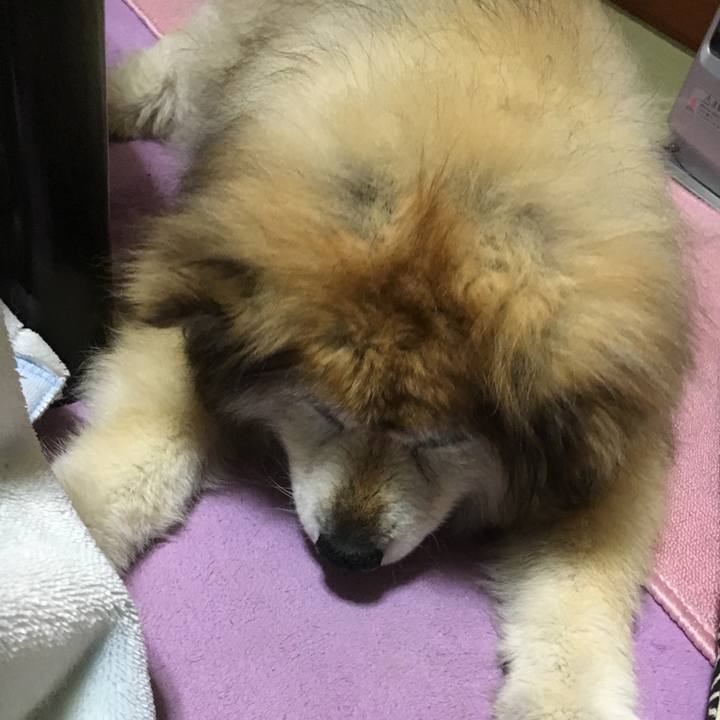 B19ce298 ffae 4512 9ba1 eec37e687034 1606046324460