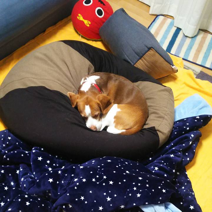 B19ce931 7f2f 4a0b 94b7 e816997fffbb 1617796395363