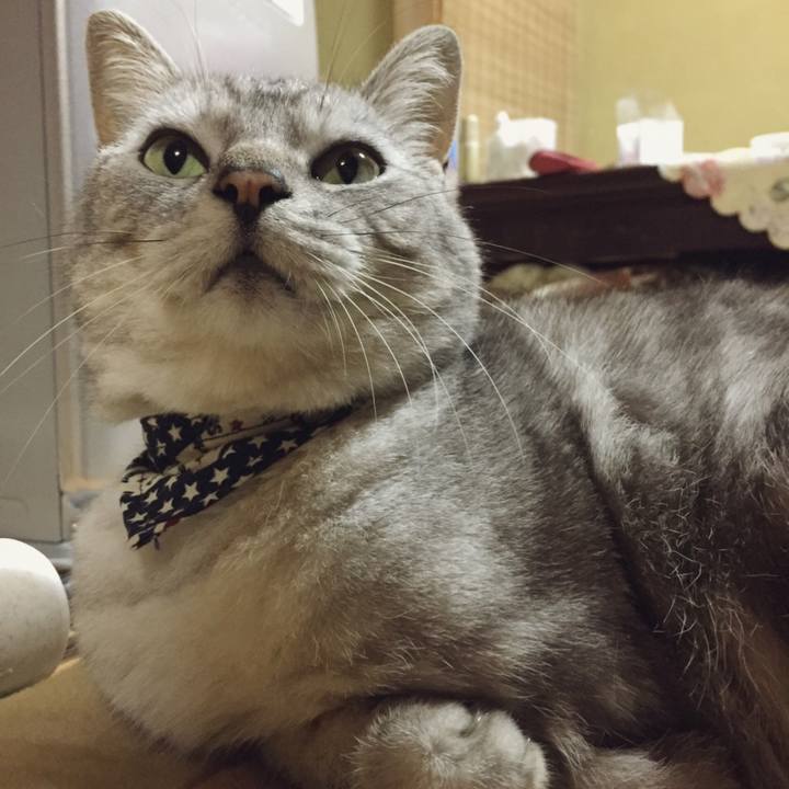 B19d1605 e697 46c7 9964 6b71cb8f5e6a 1553835421986