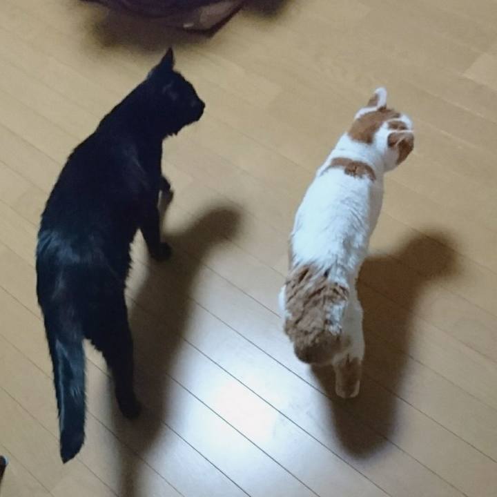 B19d8aff a422 45ce bf40 c01d833ad38f 1577781189897