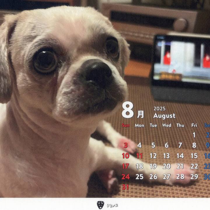 B19d98ff 9ad5 4619 ae1c 985204afc1d4 1753998265050