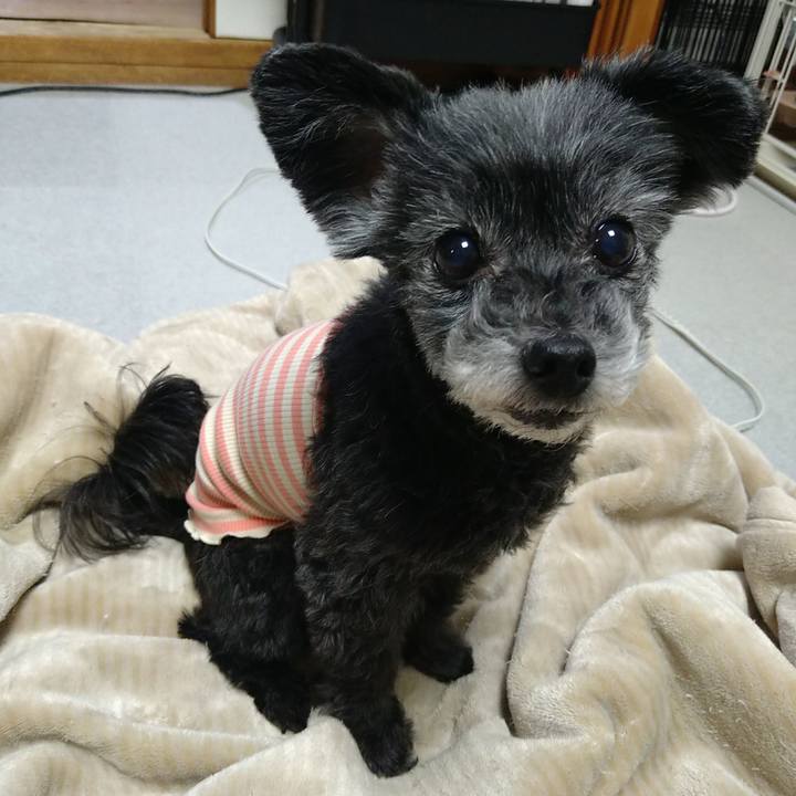 B19dbd80 34f2 4934 af52 6af4fbd20d68 1736348878859